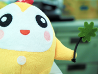 ココロン